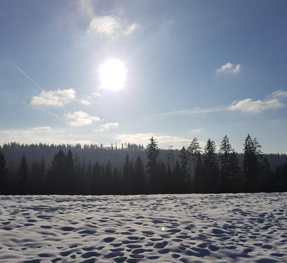 Vila Koniakowo - Dom Pinto Exteriér fotografie