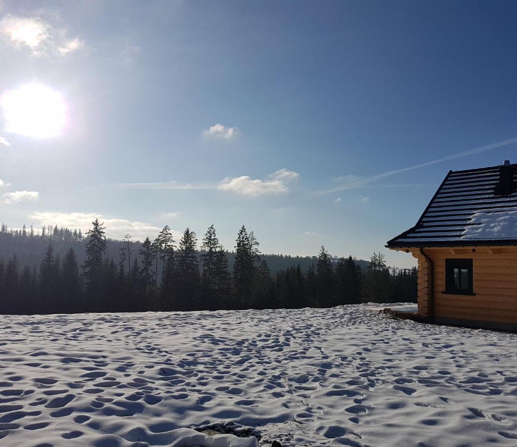 Vila Koniakowo - Dom Pinto Exteriér fotografie