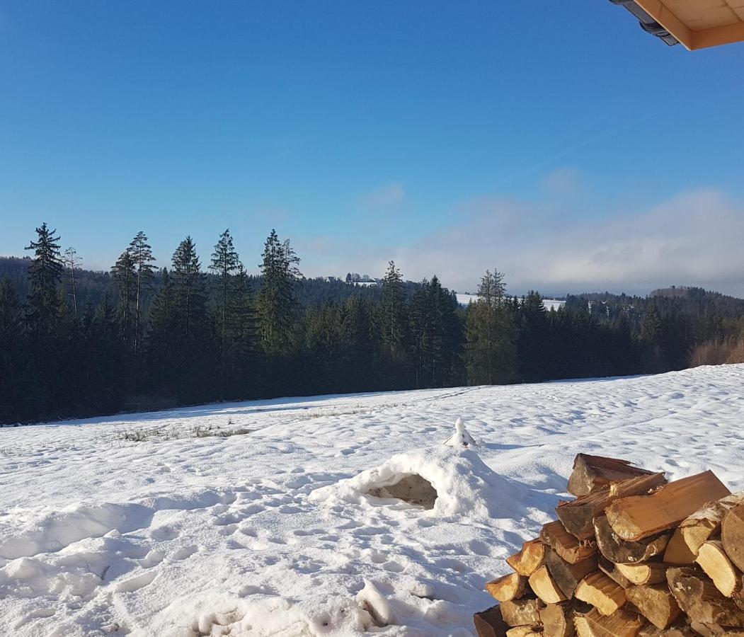 Vila Koniakowo - Dom Pinto Exteriér fotografie