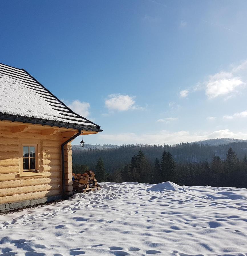 Vila Koniakowo - Dom Pinto Exteriér fotografie
